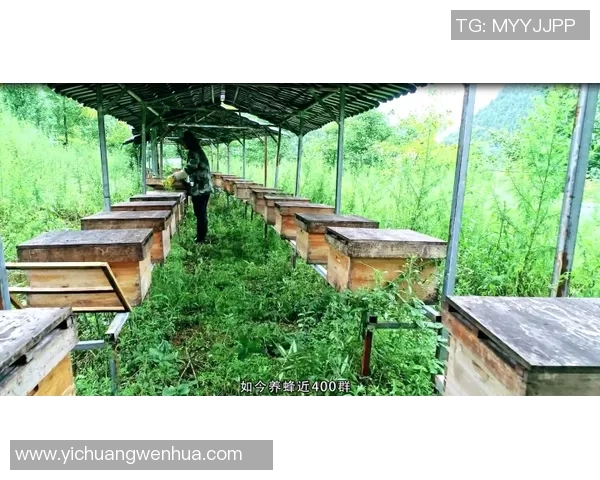 重庆篮球队总决赛之路:从艰辛历程到辉煌成就的奋斗故事 重庆篮球队总决赛之路:从艰辛历程到辉煌成就的奋斗故事