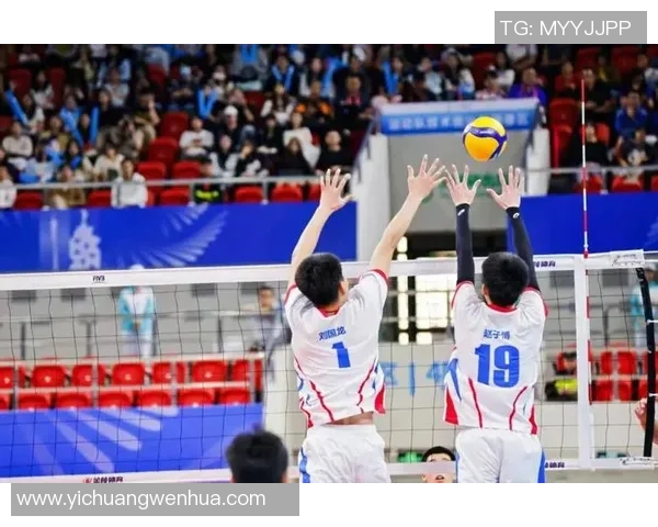 锦标赛特别报道：杭州排球队的逆袭之旅
