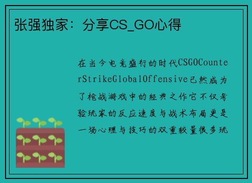 张强独家：分享CS_GO心得