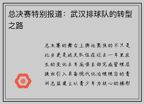 总决赛特别报道：武汉排球队的转型之路
