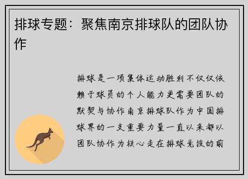 排球专题：聚焦南京排球队的团队协作